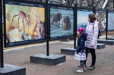 «Роснефть» представила в Архангельске выставку «Притяжение Арктики»