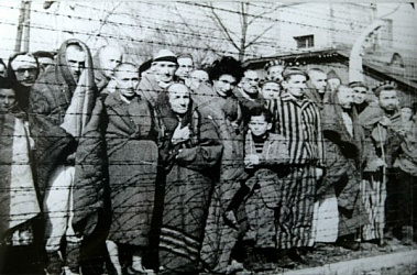 Минобороны рассекретит архивы по освобождению Освенцима