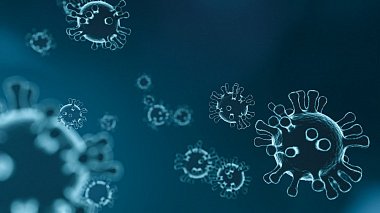 Вечная борьба: коллективный иммунитет к коронавирусу маловероятен