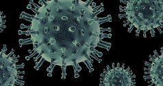 Европейские ученые сообщили о новой модификации коронавируса под названием 20A.EU1