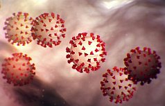 Фейковый коронавирус: в какие небылицы верят люди